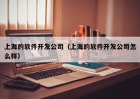 上海的软件开发公司（上海的软件开发公司怎么样）